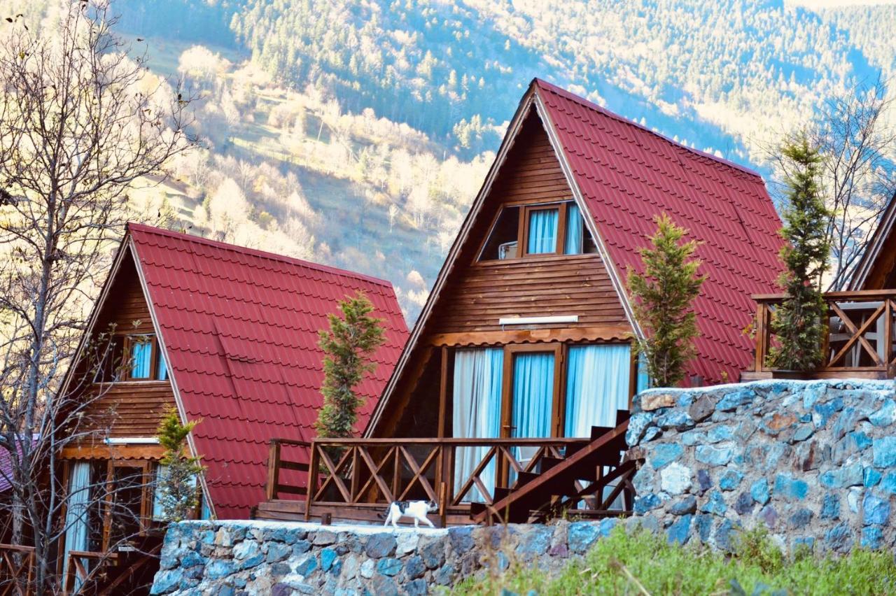 The Wooden House Uzungoel Hồ Uzungöl Ngoại thất bức ảnh